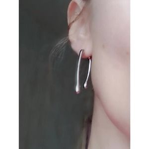 Earrings Water Drop Front Back Drippy Drop Silver Alexis Bittar STYLE M28